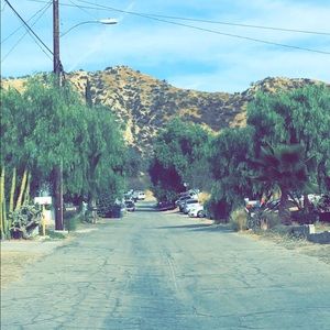 Meet your Posher, Elaine